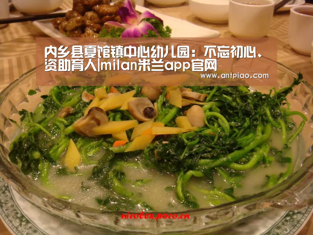 内乡县夏馆镇中心幼儿园:不忘初心、资助育人|milan米兰app官网(图1) milan米兰app官网