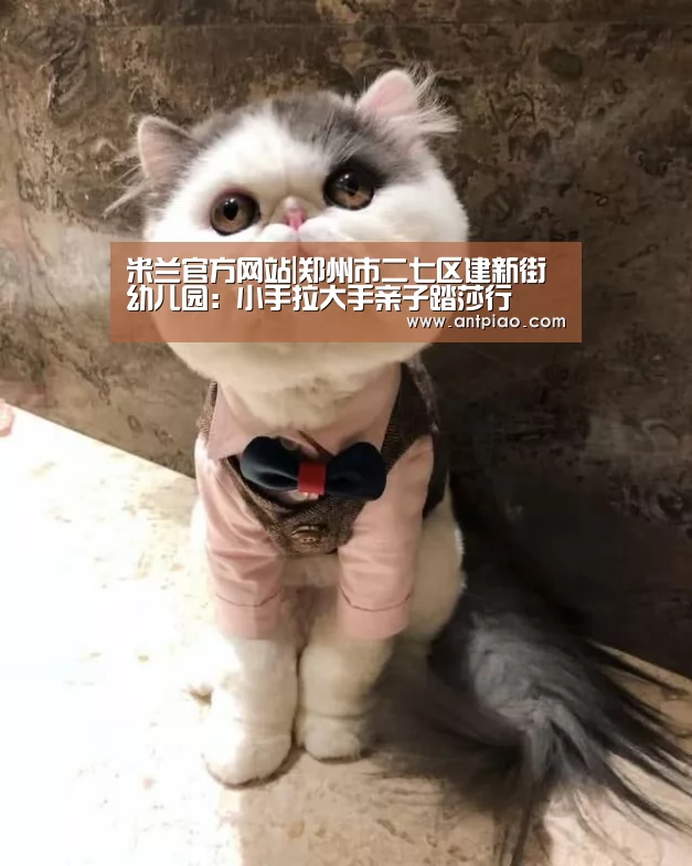 米兰官方网站|郑州市二七区建新街幼儿园:小手拉大手亲子踏莎行(图4) milan米兰app官网