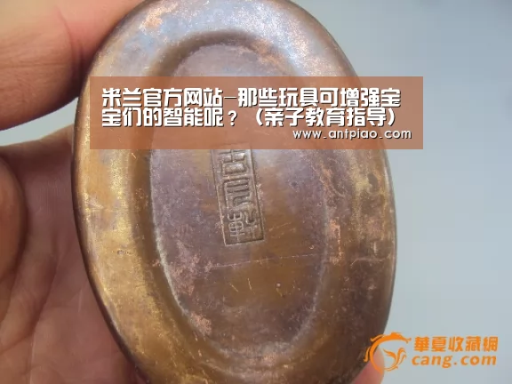 米兰官方网站-那些玩具可增强宝宝们的智能呢?(亲子教育指导)(图2) milan米兰app官网