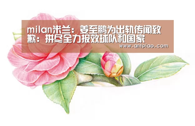 milan米兰:姜至鹏为出轨传闻致歉:拼尽全力报效球队和国家(图2) milan米兰