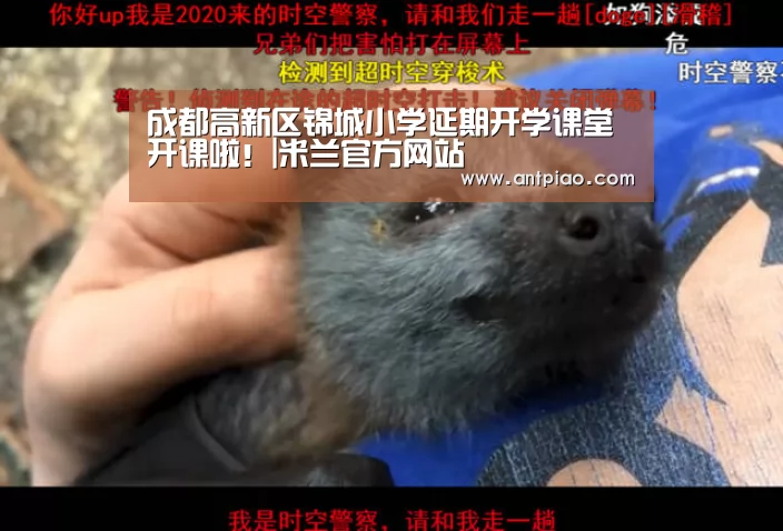 成都高新区锦城小学延期开学课堂开课啦!|米兰官方网站(图2) milan米兰app官网