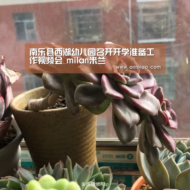 南乐县西湖幼儿园召开开学准备工作视频会_milan米兰(图1) milan米兰app官网